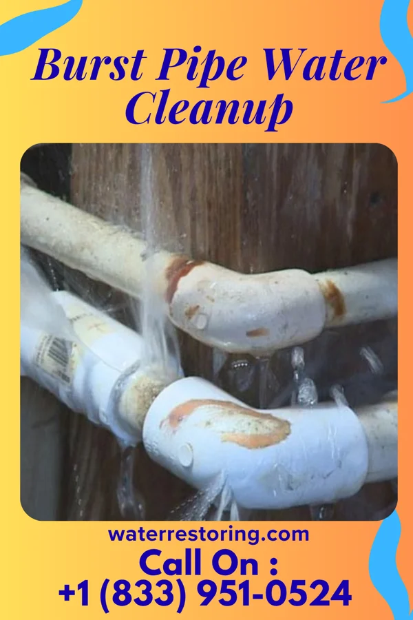 Burst Pipe Water Cleanup in Whitmore Village, HI