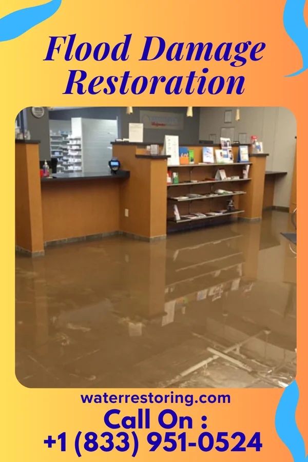 Flood Damage Restoration in Whitmore Village, HI