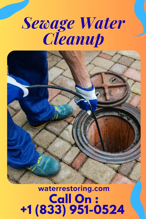 Sewage Water Cleanup in Whitmore Village, HI