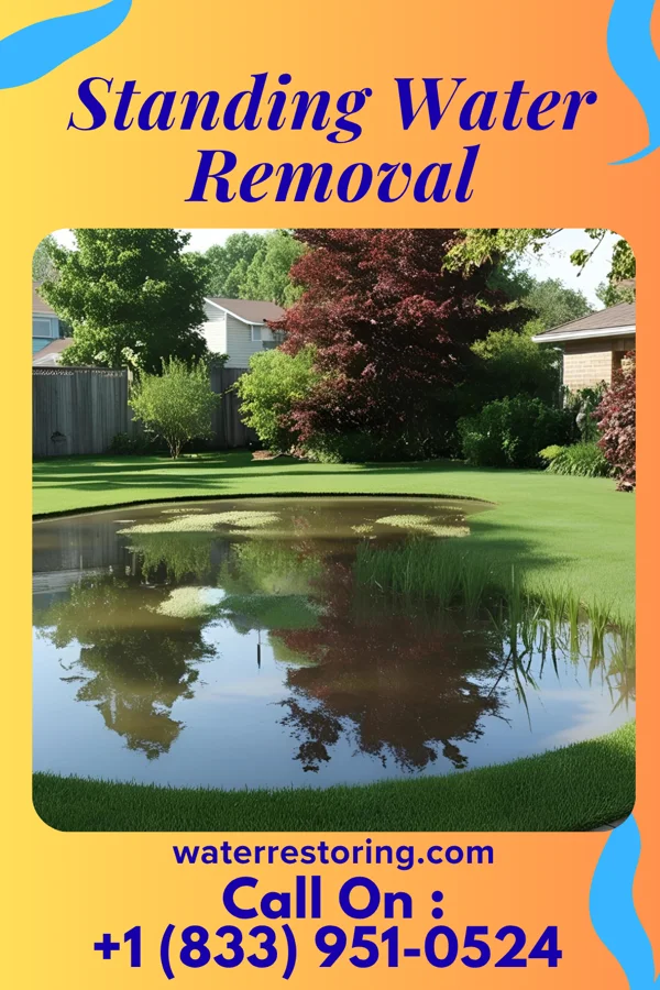 Standing Water Removal in Whitmore Village, HI